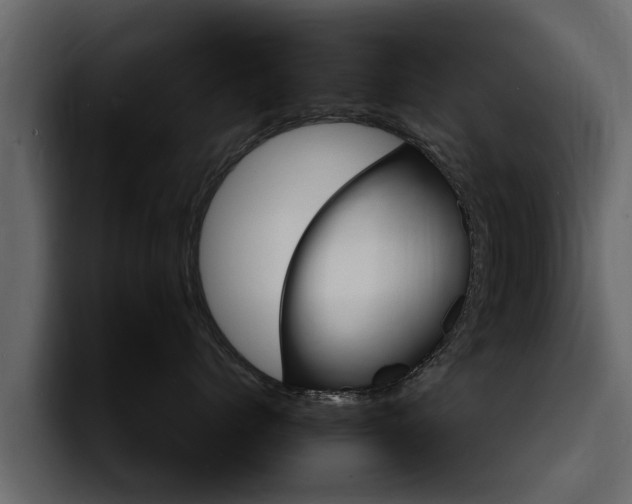 X0000095550768200712140935