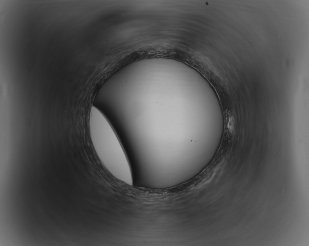 X0000095550771200712140935