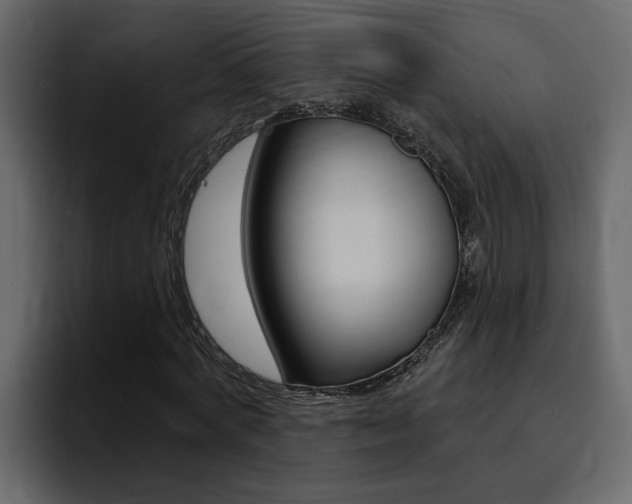 X0000095550772200712140935