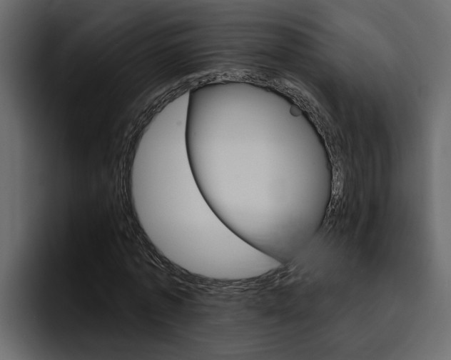 X0000095550773200712140935