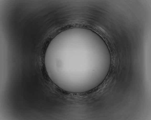 X0000095550774200712140935