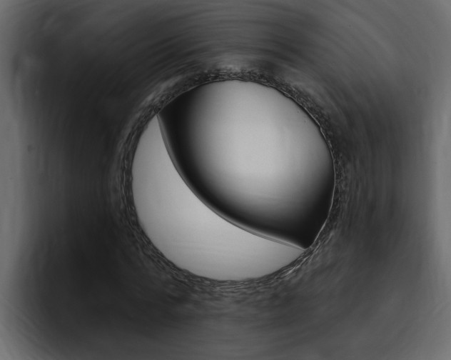 X0000095550776200712140934