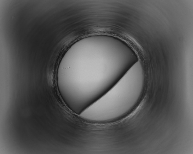 X0000095550777200712140934