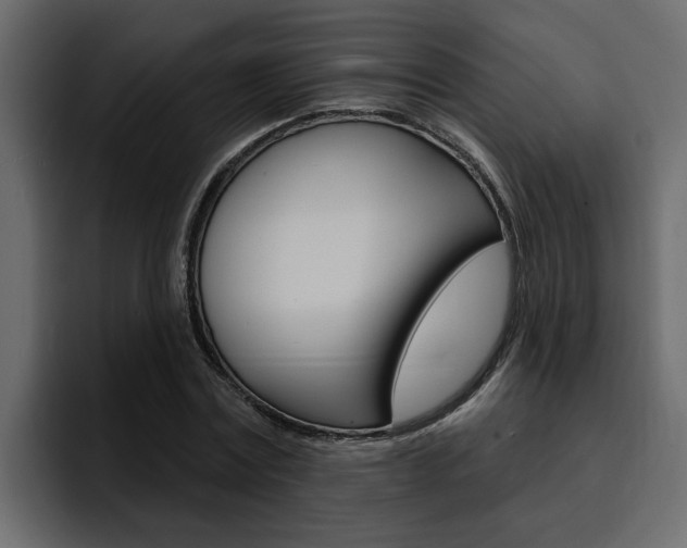 X0000095550779200712140934