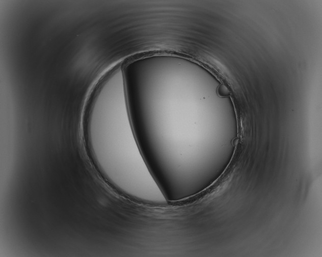 X0000095550780200712140934