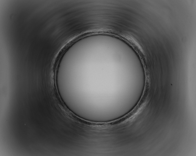 X0000095550781200712140934