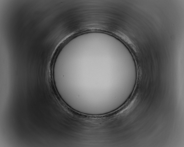 X0000095550782200712140934