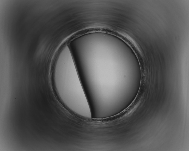X0000095550783200712140934