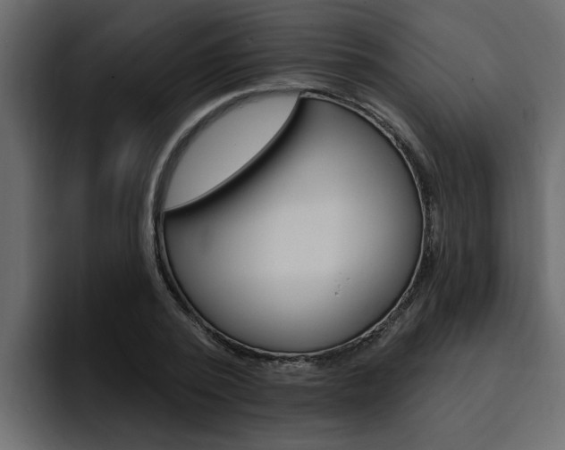 X0000095550784200712140934