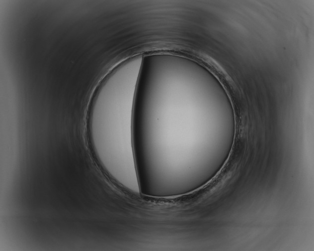 X0000095550786200712140934