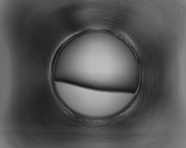 X0000095550787200712140934
