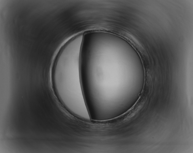 X0000095550788200712140934