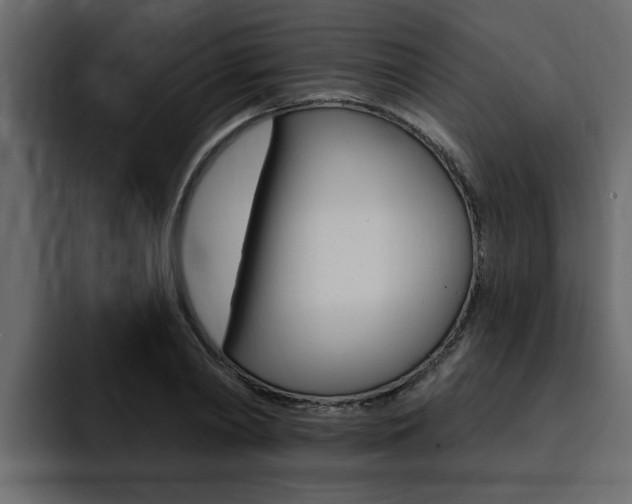 X0000095550790200712140934