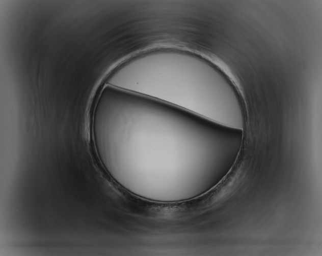 X0000095550791200712140934