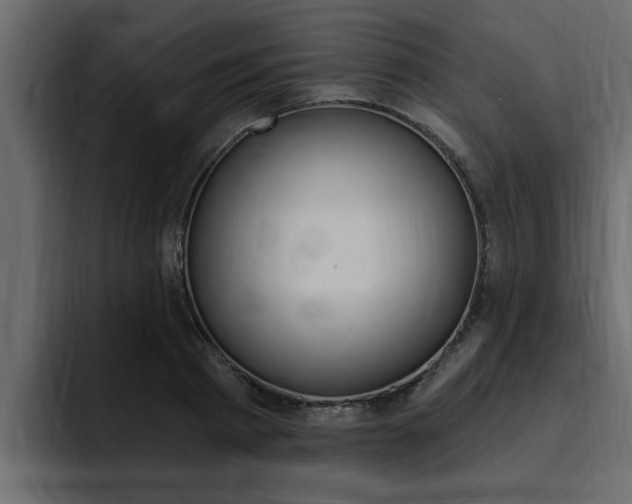 X0000095550793200712140934