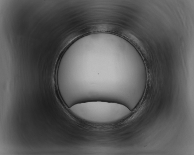 X0000095550794200712140934