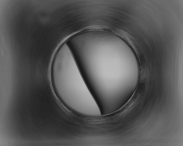 X0000095550795200712140934