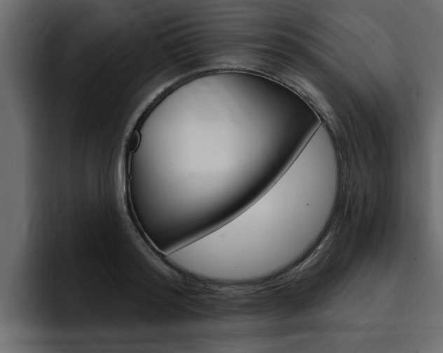 X0000095550796200712140934