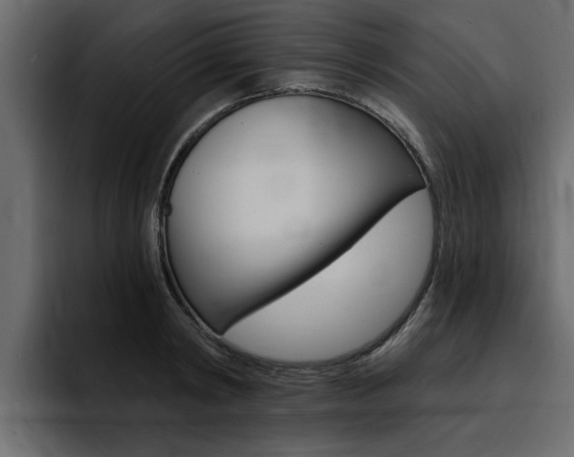 X0000095550798200712140934