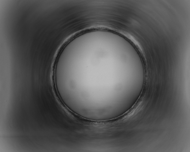 X0000095550799200712140934