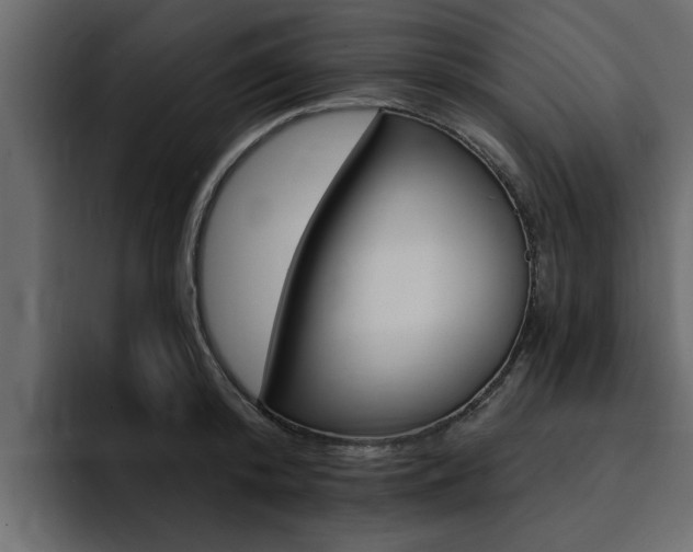 X0000095550800200712140934