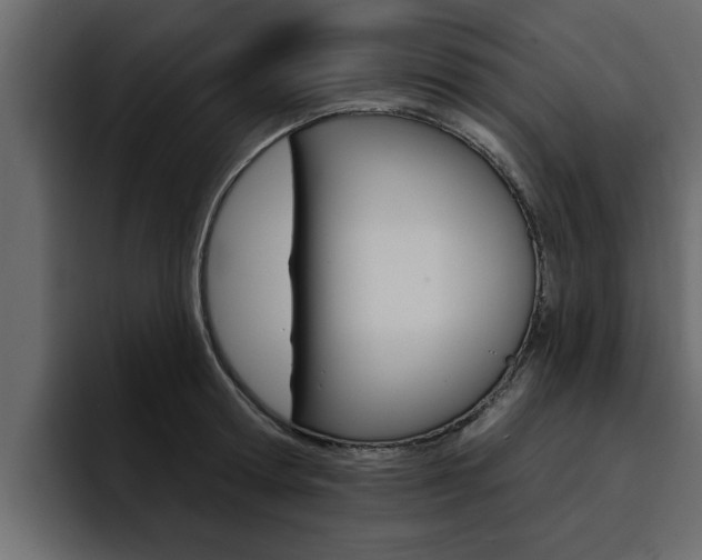 X0000095550802200712140934