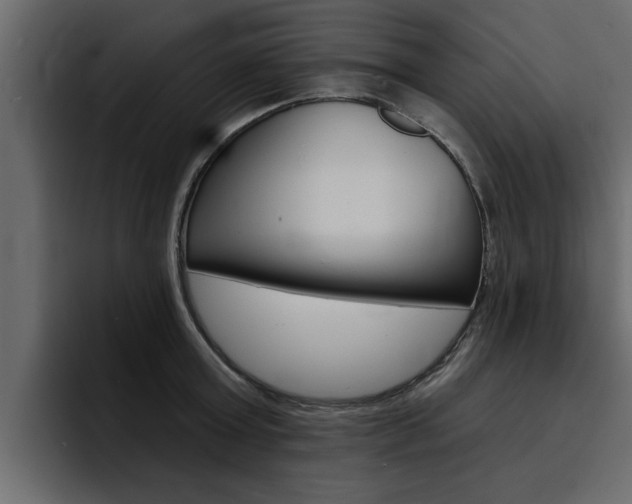 X0000095550803200712140934