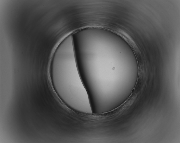 X0000095550804200712140934