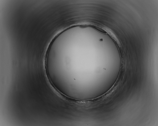 X0000095550805200712140934