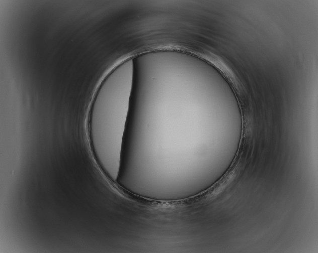 X0000095550806200712140934