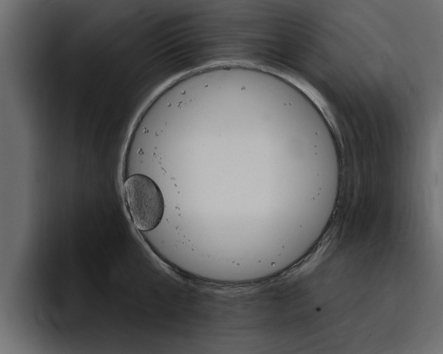 X0000095550807200712140934