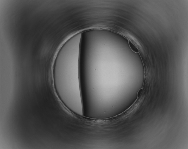 X0000095550808200712140934