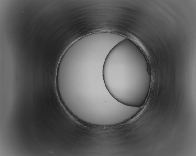 X0000095550810200712140934