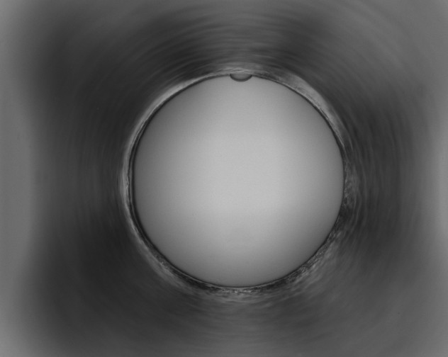 X0000095550811200712140934