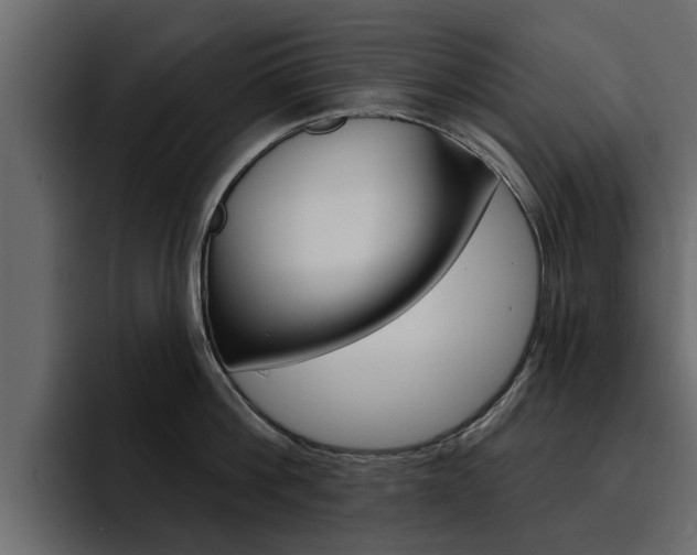 X0000095550812200712140934