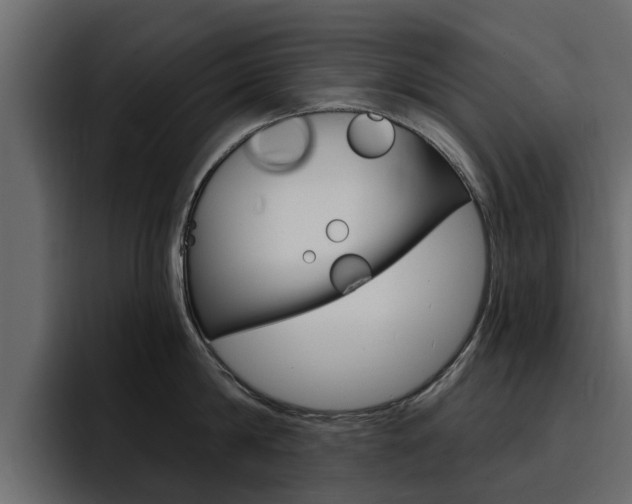 X0000095550814200712140934