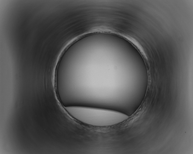 X0000095550815200712140934