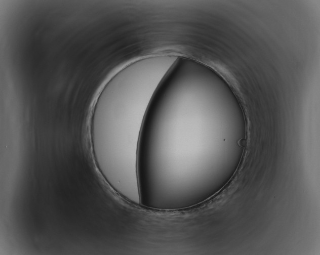 X0000095550816200712140934