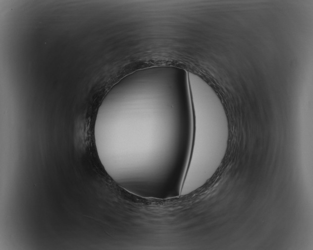 X0000095550818200712140933