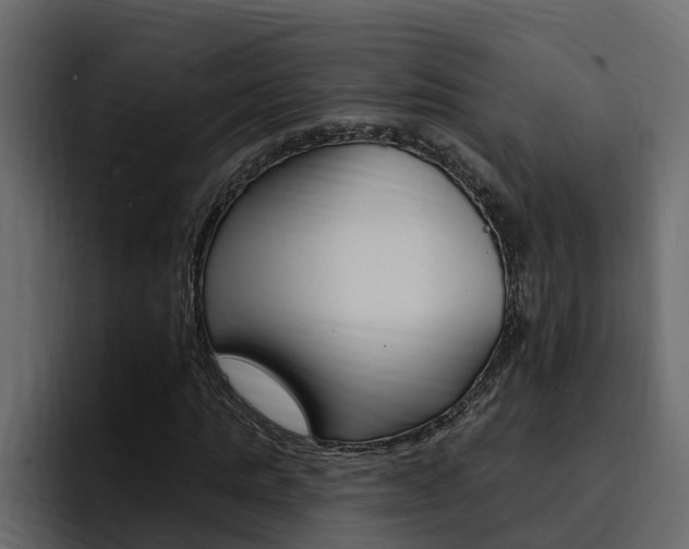 X0000095550821200712140933