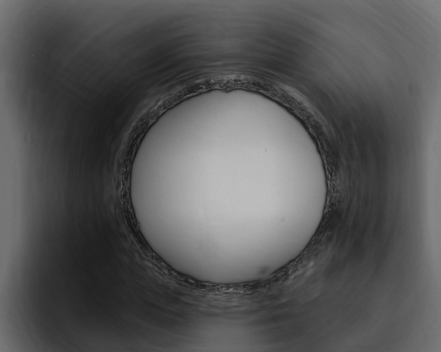 X0000095550823200712140933