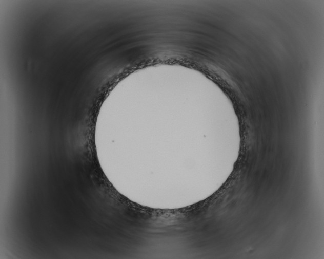 X0000095550824200712140933