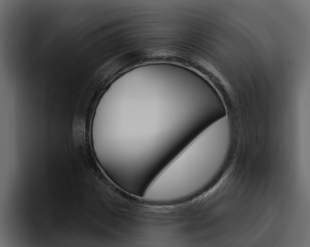 X0000095550825200712140933