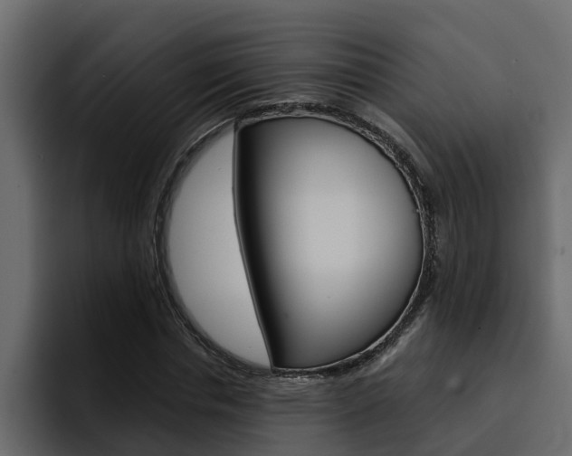 X0000095550826200712140933