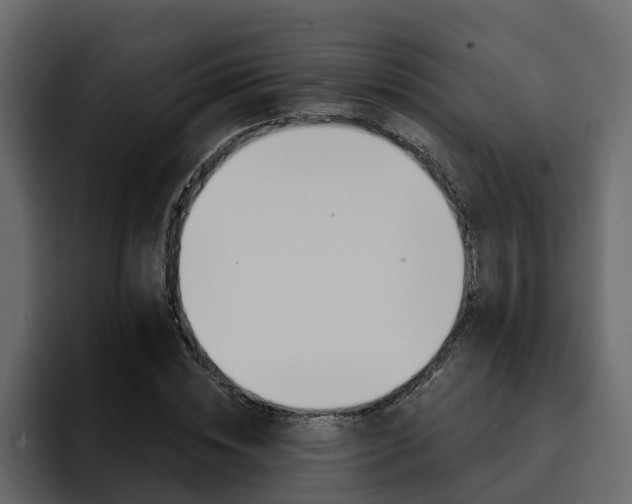 X0000095550828200712140933