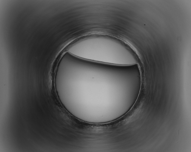 X0000095550829200712140933