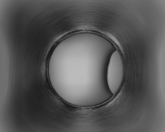 X0000095550831200712140934