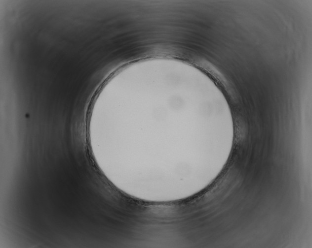 X0000095550836200712140934
