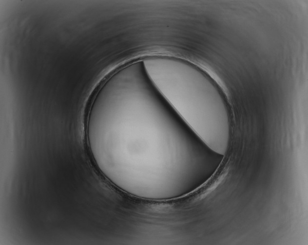 X0000095550837200712140934