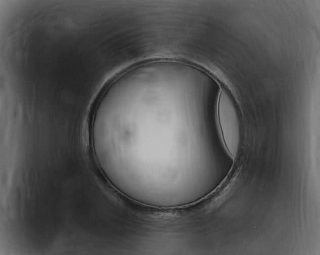 X0000095550838200712140934